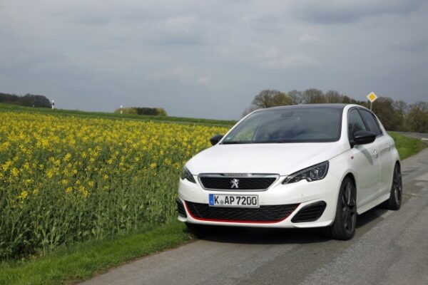 MG 3769