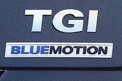 20150522LI032 Logo BlueMotion 250